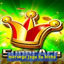 morcego jogo do bicho