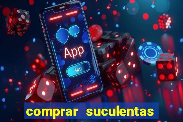 comprar suculentas direto do produtor