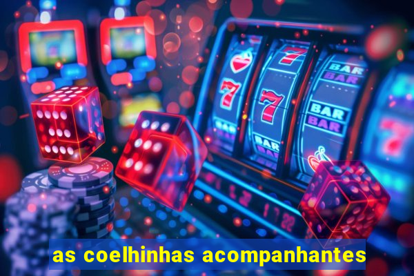 as coelhinhas acompanhantes