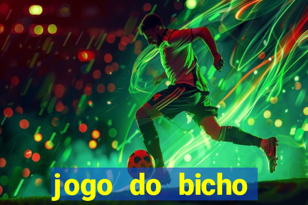 jogo do bicho tipos de apostas