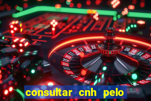 consultar cnh pelo cpf sp