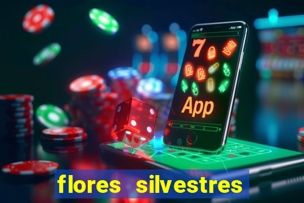 flores silvestres desbravadores desbravadores 25 flores silvestres e seus nomes