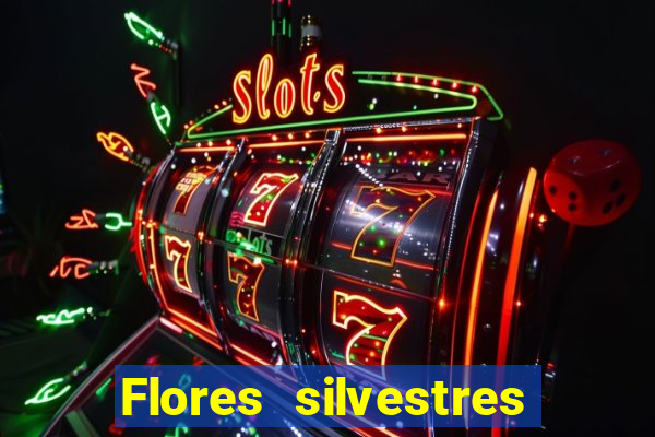 Flores silvestres brasileiras brasileiras flores silvestres nomes e imagens