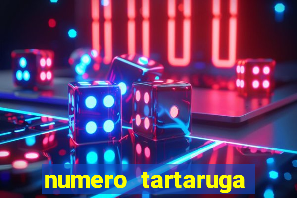 numero tartaruga jogo do bicho