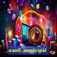 canil municipal porto alegre