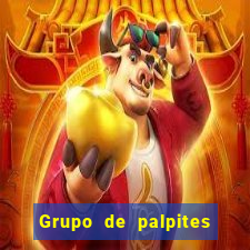 Grupo de palpites de futebol gratis