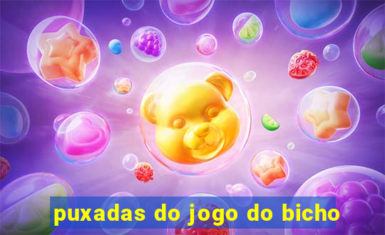 puxadas do jogo do bicho